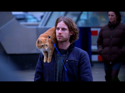 Парень ПОТЕРЯЛ ВСЕ и оказался на улице, но его жизнь изменилась, когда он нашел рыжего кота