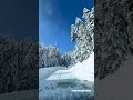 Snow Season in Gulmarg ❄️ | Kashmir