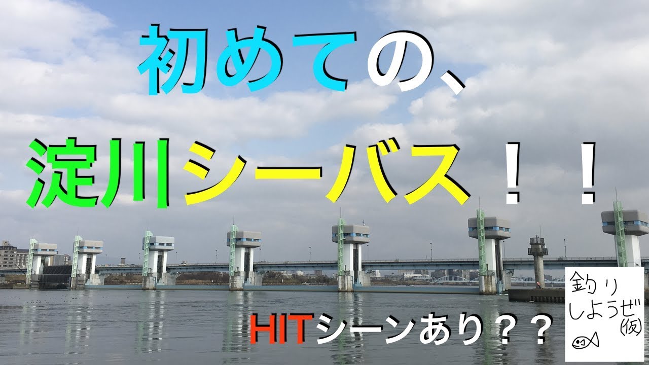 あと一歩 初めてのシーバスは目の前で In淀川 Youtube