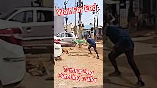 Tumkur City Dog Catching Trailer #dog #dogwithpublicsafety #ytviral #pets #dogshorts #shorts