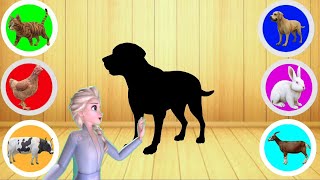 Learn Domestic animals with shadow puzzle