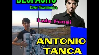 DESPACITO - fisarmonica ANTONIO TANCA \