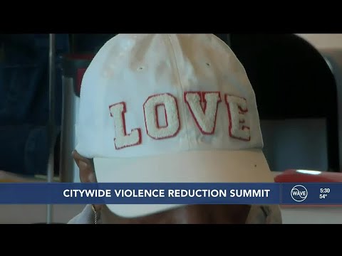 Citywide Violence Reduction