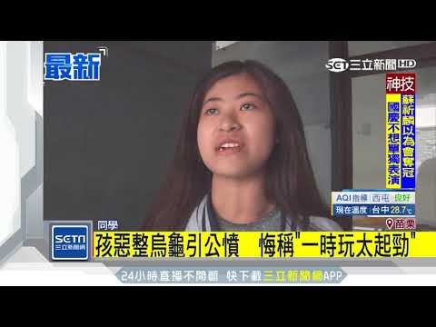 孩惡整烏龜引公憤　悔稱「一時玩太起勁」三立新聞台