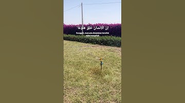 تلاوة خاشعة تريح الاعصاب