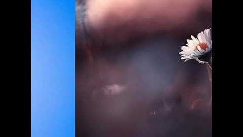 ماتيسر من سورة السجدة بصوت ....الشيخ عبد الرحمن مسعد