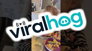 Twins Make Mess of Mashed Potatoes || ViralHog