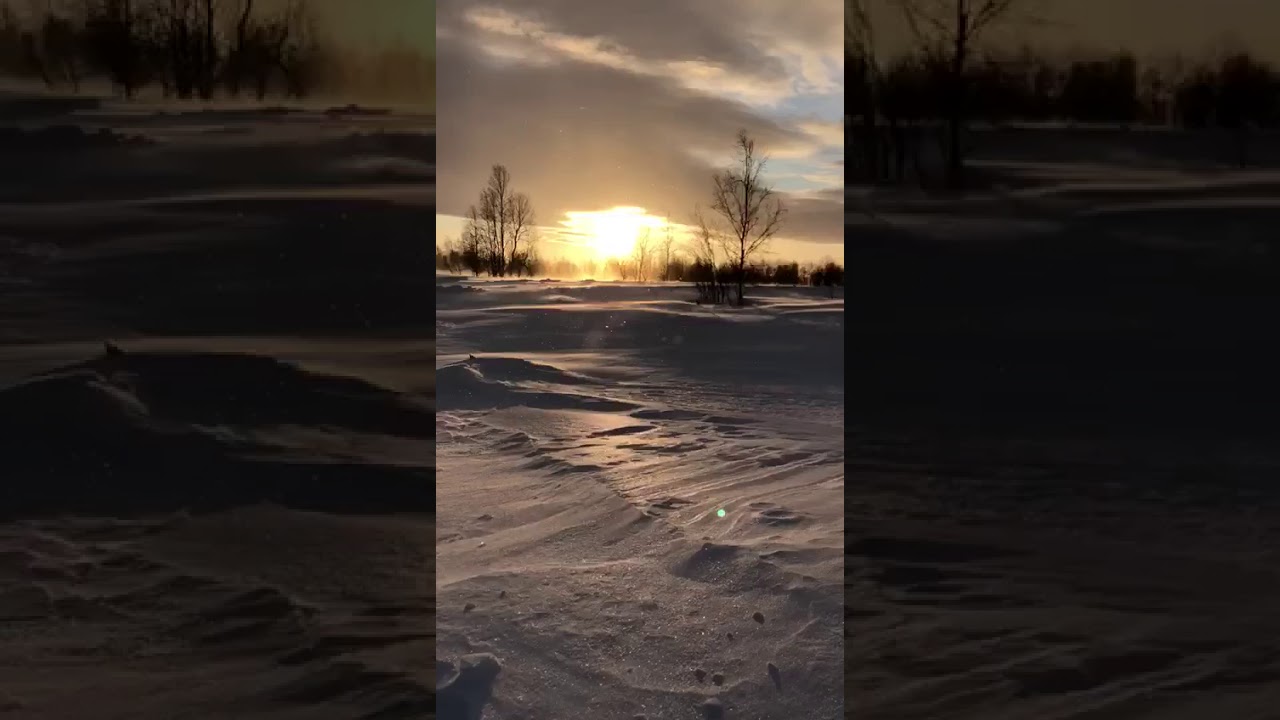 Поземка в тундре - YouTube