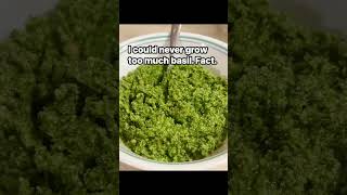 Pesto Love #pesto #basil #gardeninglife