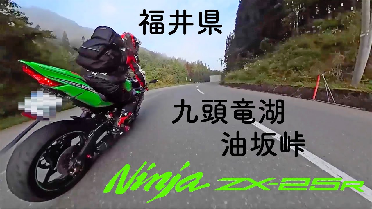 さとる ZX-10R ZX-14R Ninja ZG1400 レギュレーター レギュレター
