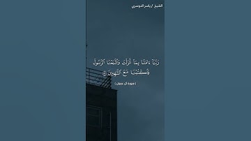 سورة آل عمران ( ٥٢ - ٥٣)/ ياسر الدوسري