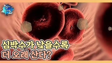 심박수가 낮을수록 더 오래 산다? MBN 220218 방송