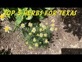 Herbs you can’t KILL
