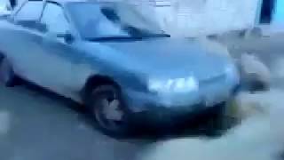 Game of Sheep with a Car screenshot 5