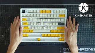 GMK Serika R2 review