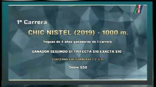 Carr.1 Premio: CHIC NISTEL (2019) 08-03-2022
