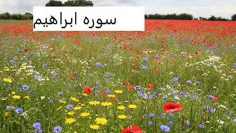 sura Ibrahim by parhizgar/سوره ابراهیم قاری پرهیزگار