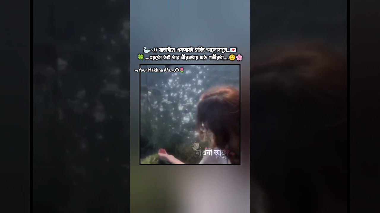 রাজহাঁস জীবনে একবারই ভালোবাসে...🦢🌼✨ #bts #love #shorts #ytshorts #fyp #trending #viral