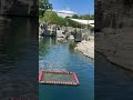 Seal in Frankfurt #seal #viral #germany