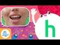 Quiz sobre el video educativo de Smile and Learn