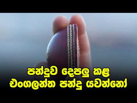 වසර 8කට පසු ශ්‍රී ලංකාවට තුන්කොන් තරඟාවලියක්- Daily Dose Episode 396
