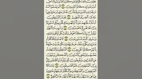 سورة التوبة من الآية ٦٢ إلى الآية ٦٨بصوت القارئ ماهر المعيقلي