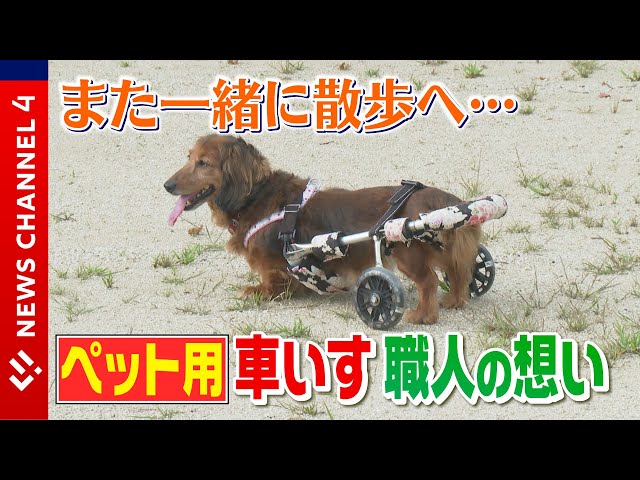 ペット専用車いす】“また一緒に散歩を…”完全オーダーメイドの ペット専用車いす】“また一緒に散歩を…”完全オーダーメイドの