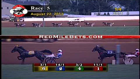 Red Mile Racetrack Race 5 08-22-13