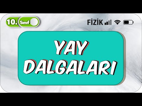 10.Sınıf Fizik Yay Dalgaları | Detaylı Konu Anlatımı #2023