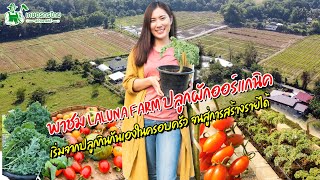 พาชม Laluna Farm ผักออร์แกนิค จากปลูกกินเองสู่การสร้างรายได้ l  ชมสวนเกษตรกรไทย Ep200