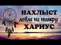 Нахлыст . Ловля на нимфу . Хариус