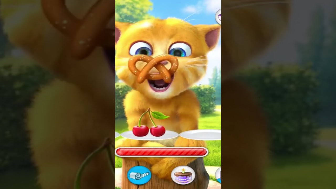 Голодный кот 