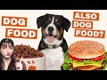 Should you be feeding your dog people food  myth busting mondays