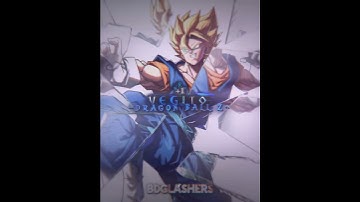 Vegito vs Gogeta