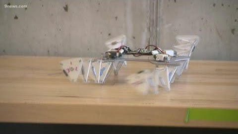 Colorado State University is creating robots of the future