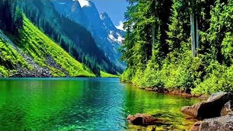 سورة الفاتحة مكررة بصوت جميل يرح النفس للشيخ نايف الفيصل