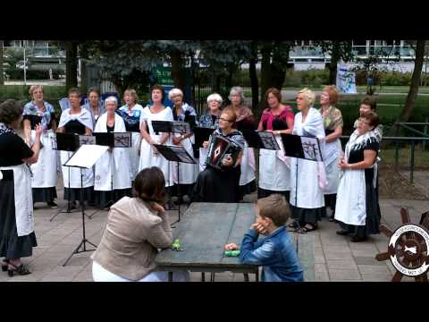 Vissersvrouwenkoor Haring met Ui bij Rondje Stelling 7 september 2013