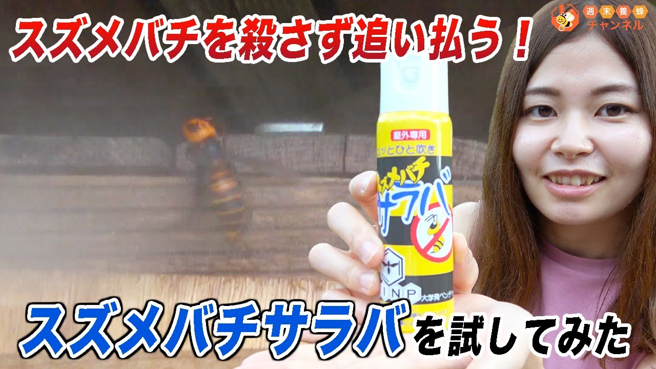 殺さずに追い払う！？【スズメバチサラバを試してみた！】