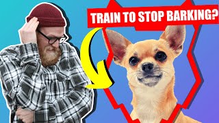 How To Stop Your CHIHUAHUA Barking