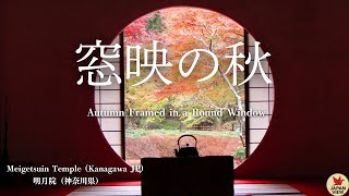 【Lo-fi Jazz BGM】Autumn Reflections in the Round Window – Study & Relax