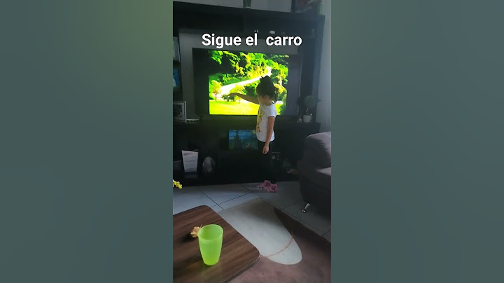 sigue el carro blanco Sofi 🤣