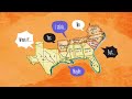 Rebranding the South: A Historical Perspective