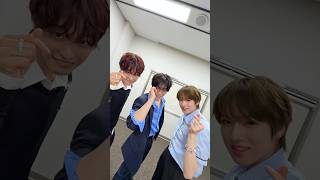 NCT WISH 리쿠, 사쿠야 님과 함께 놀아 놀아 #놀아보세 😎 #NCTWISH #RIKU #SAKUYA #피철인 #Picheolin #DINO #디노