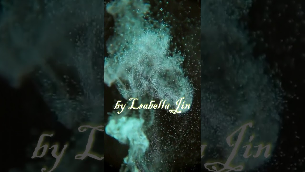 Reflections in a Dream — 