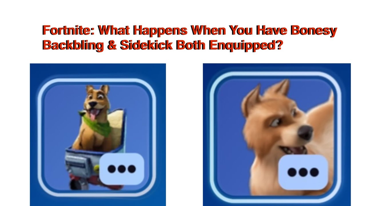 Fortnite: What Happens When You Have Bonesy Backbling & Sidekick Both Enquipped?