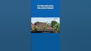 Puluhan Rumah di Demak Diterjang Angin Puting Beliung
