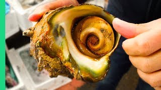 GIANT ALIEN SNAIL in JAPAN!!! Digging Deep in Tokyo's Famous Fish Markets!