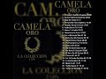 Camela oro la coleccinalbum completo