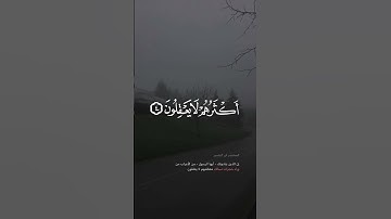 تلاوة جميلة من سورة الحجرات القارئ راشد الأركاني