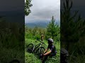 Mtb mtblife mtblove mtbindonesia mtbbrasil siklista bike shimano mountainbike 29er bike